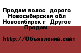 Продам волос, дорого - Новосибирская обл., Новосибирск г. Другое » Продам   